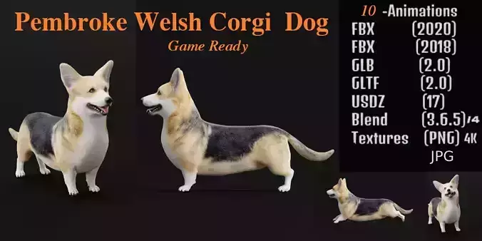 Pembroke Welsh Corgi Dog Low-poly 3D model