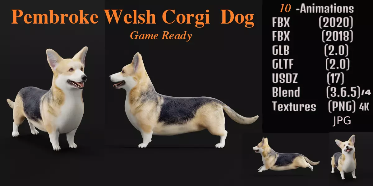Pembroke Welsh Corgi Dog Low-poly 3D model_0