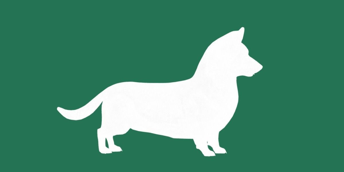 Pembroke Welsh Corgi Dog Low-poly 3D model_12