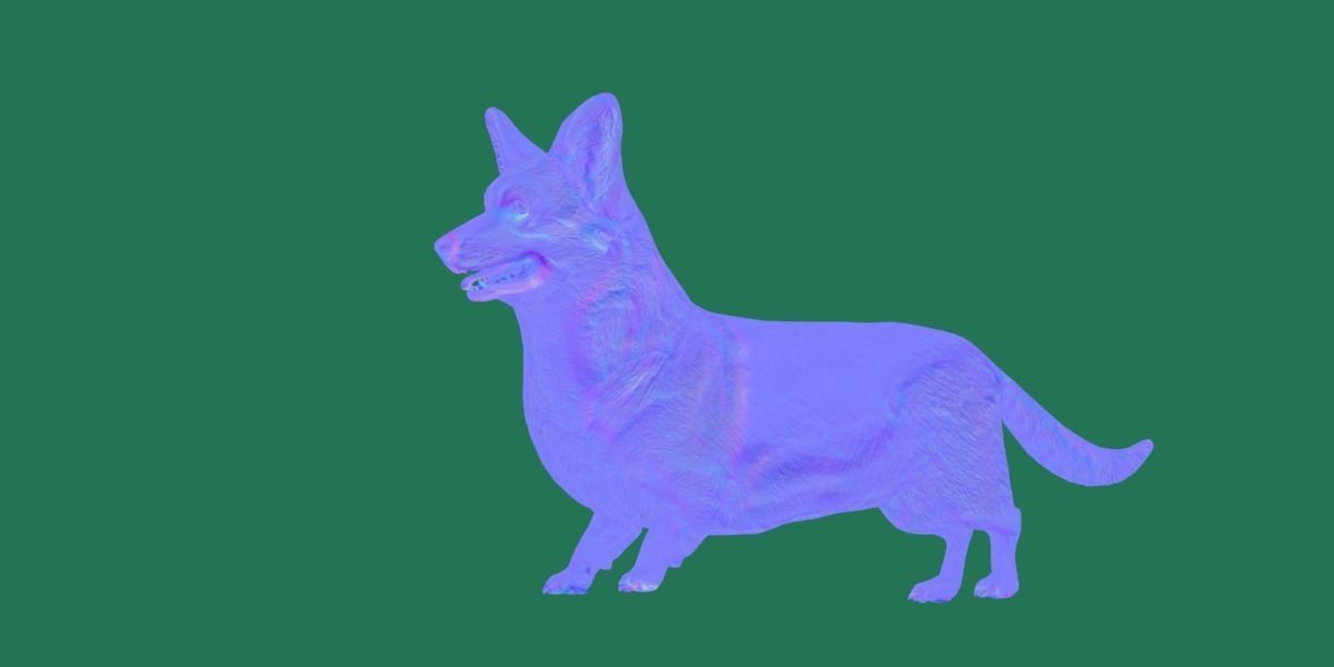 Pembroke Welsh Corgi Dog Low-poly 3D model_13