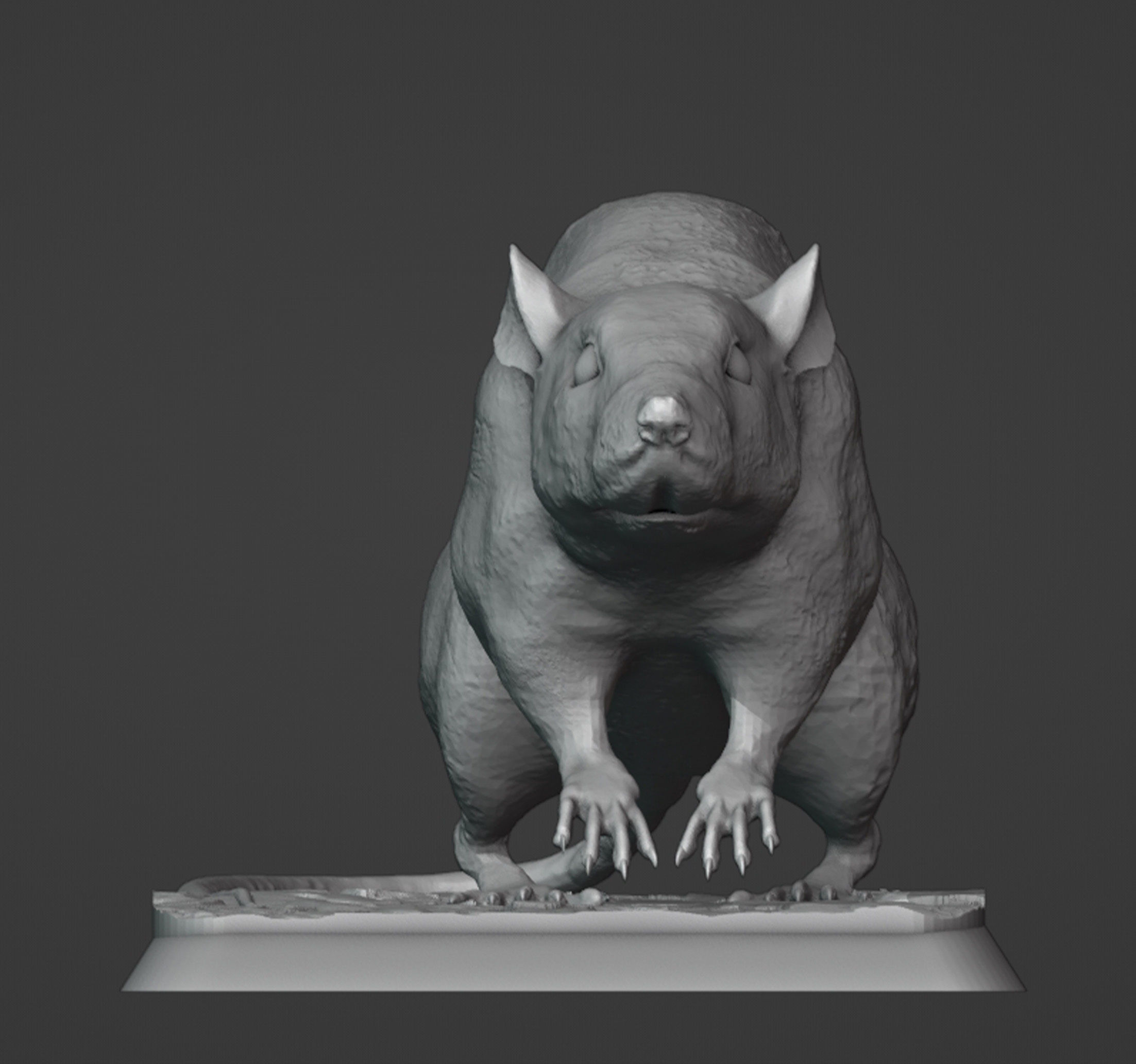 The Rat 3D print model_1