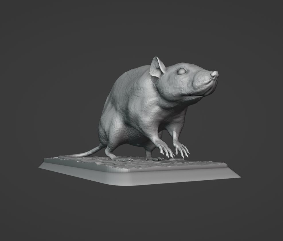 The Rat 3D print model_8