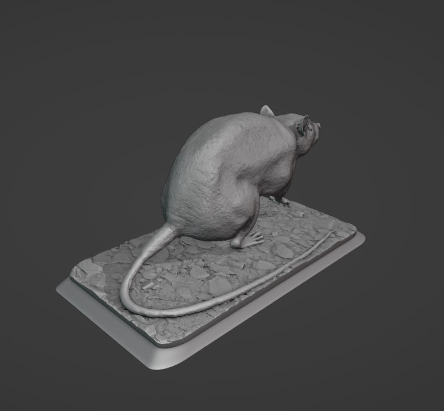 The Rat 3D print model_7