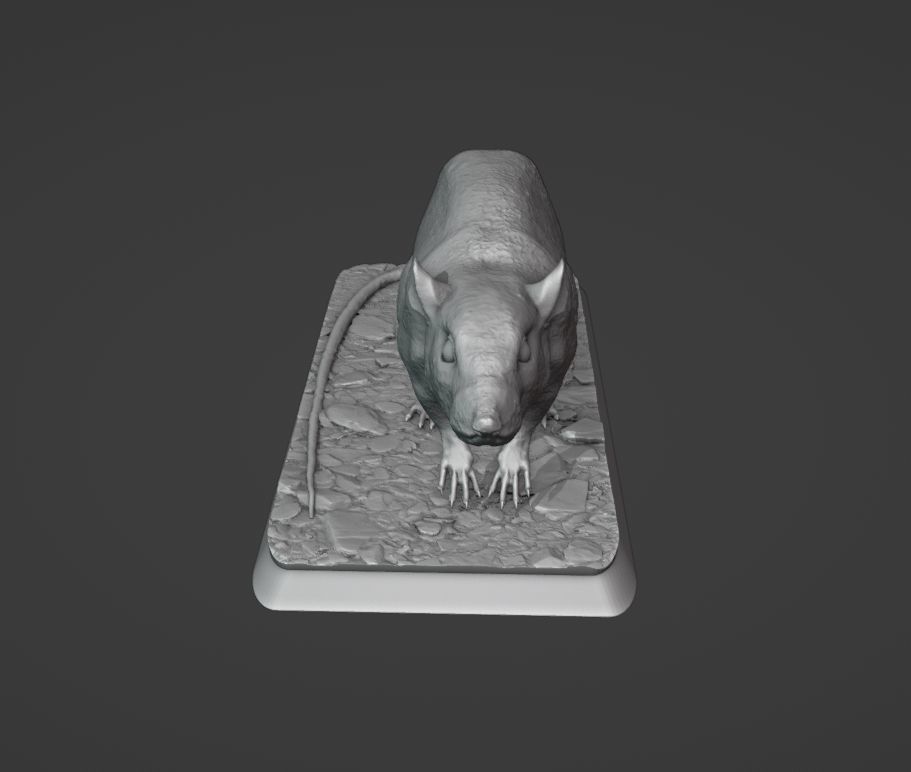 The Rat 3D print model_9