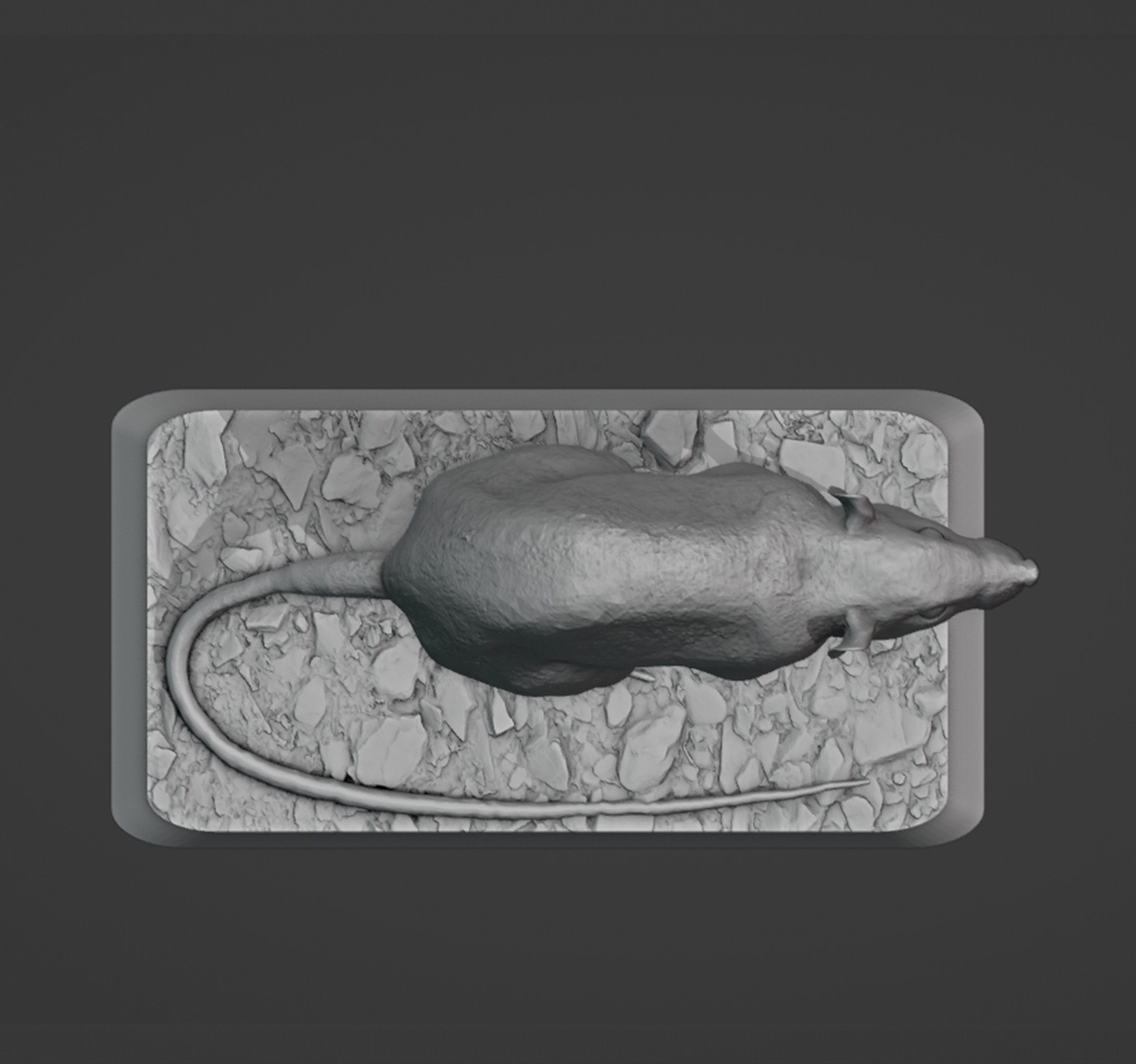 The Rat 3D print model_3