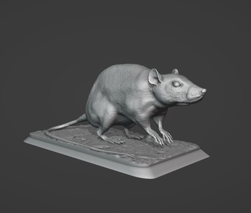 The Rat 3D print model_5