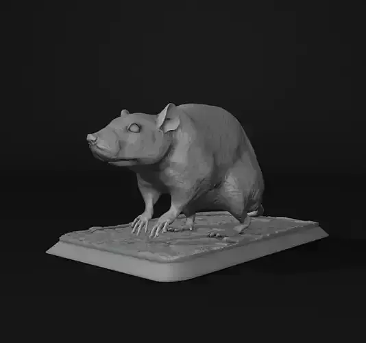 The Rat 3D print model