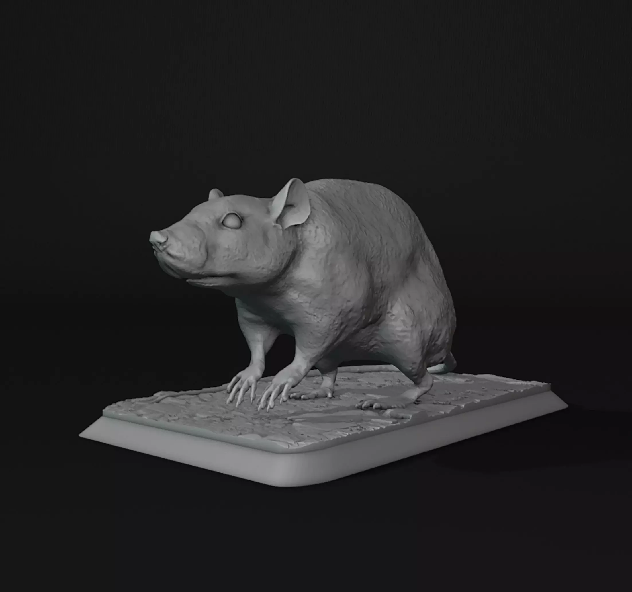 The Rat 3D print model_0