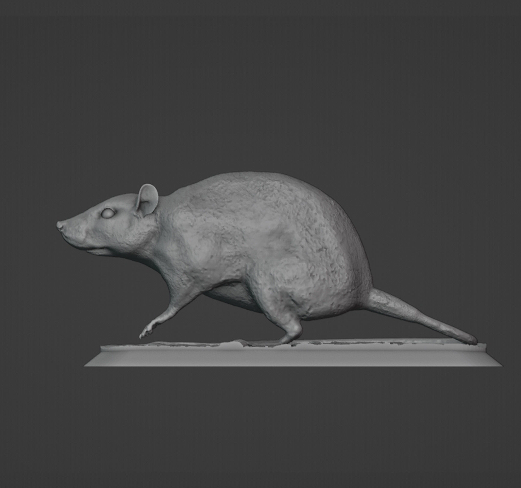 The Rat 3D print model_2