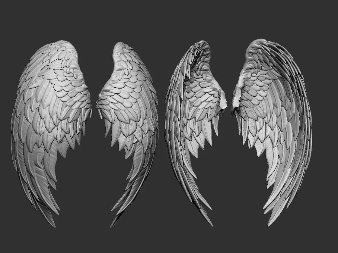 Wings 3D print model 3D print model_0