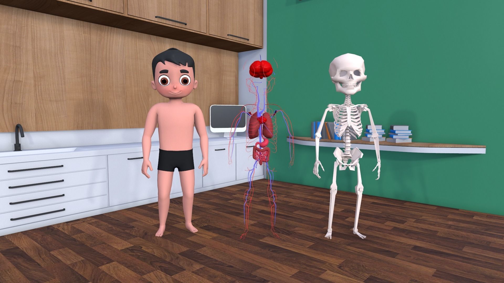 Body Parts - Educational Low-poly 3D model_6