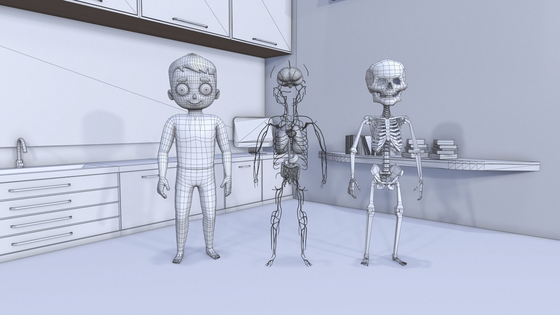 Body Parts - Educational Low-poly 3D model_8