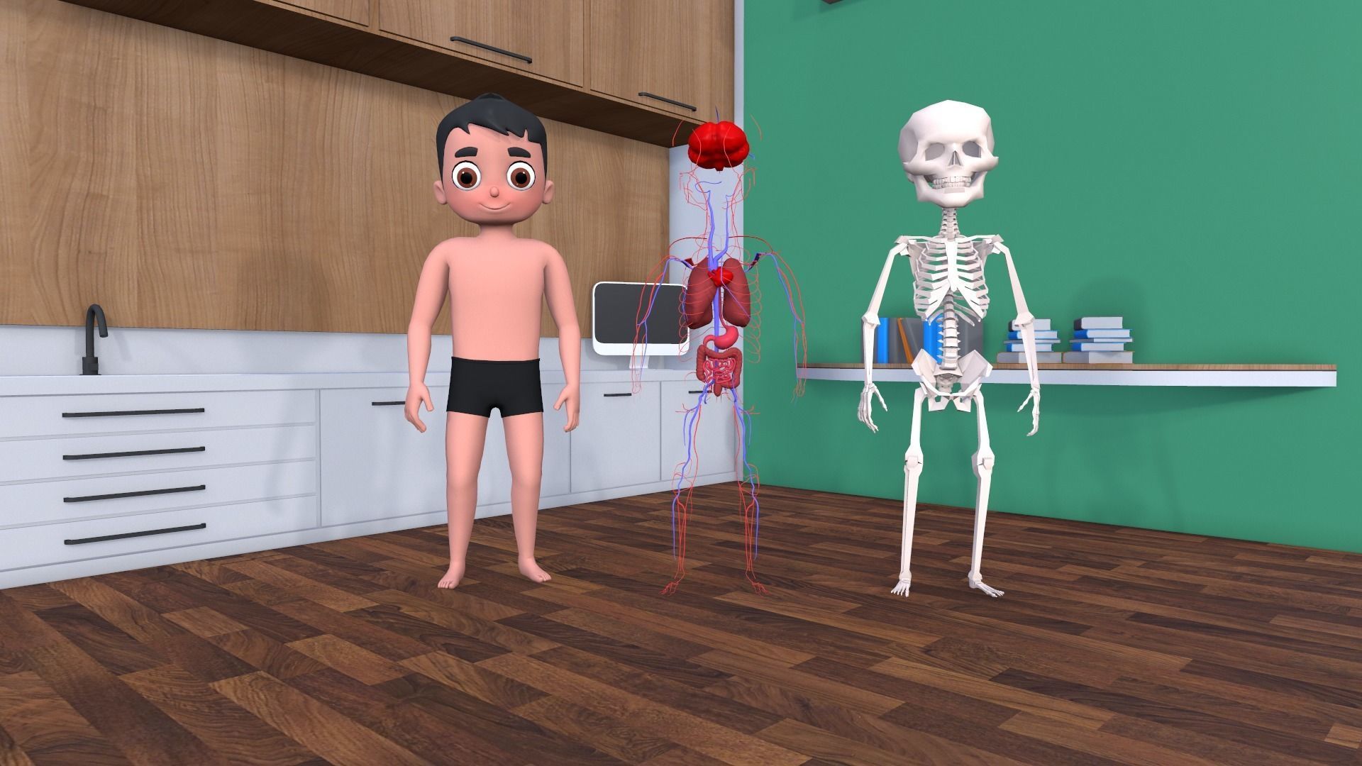 Body Parts - Educational Low-poly 3D model_2