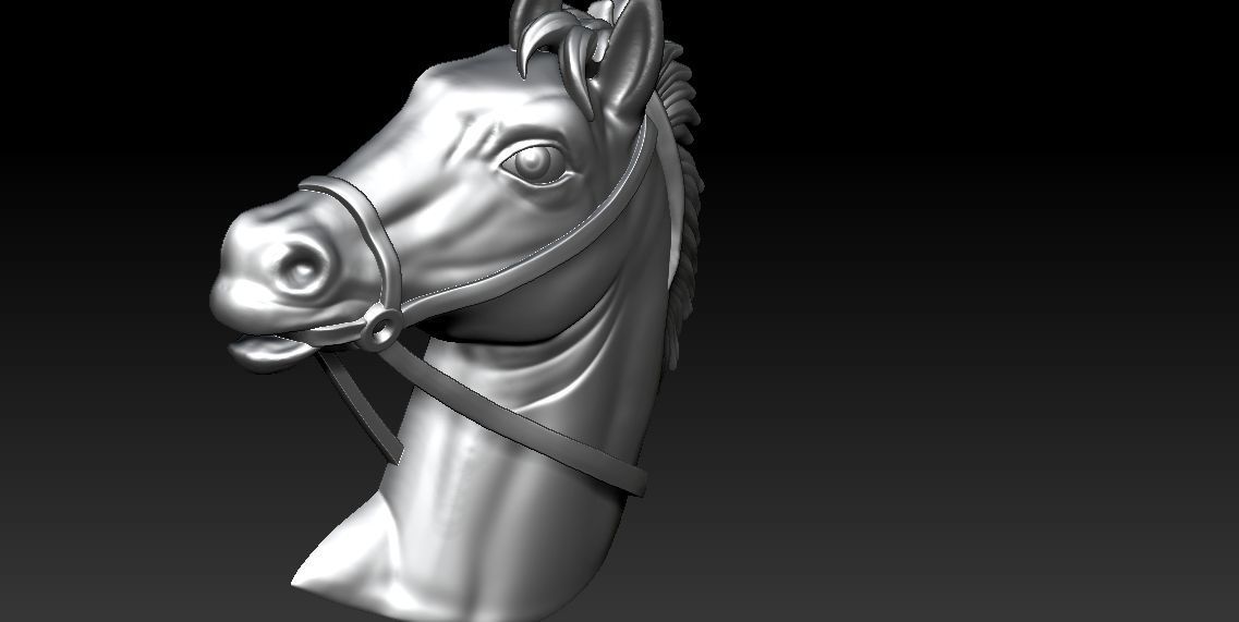  Horse Medallion 3D print model 3D print model_5