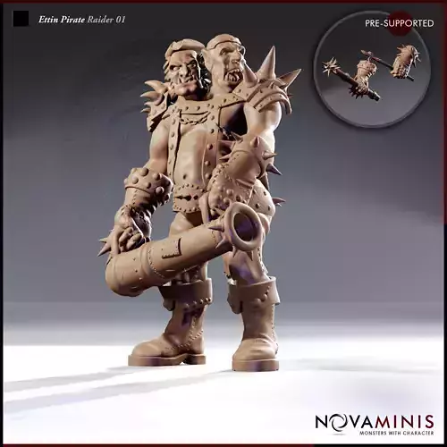 Ettin Pirate Raider 01