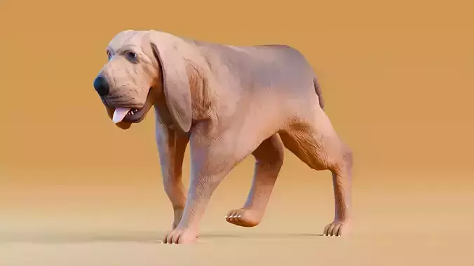 Low poly - Stylized dog - Bloodhound  Low-poly 3D model