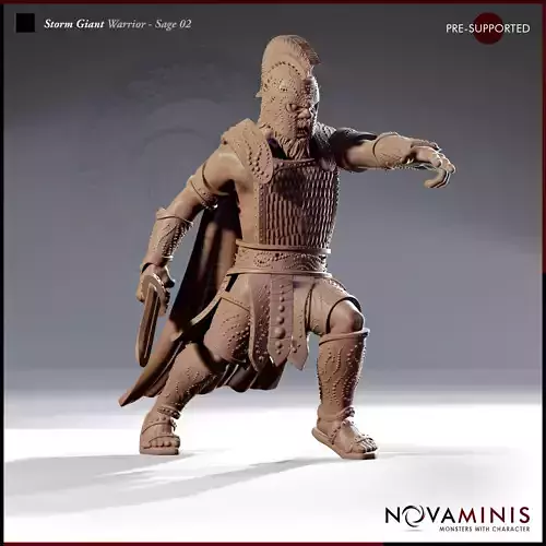 Storm Giant Warrior-Sage 02 3D print model