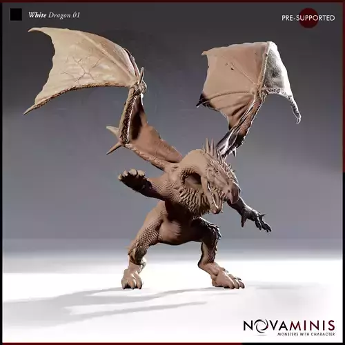 White Dragon 01