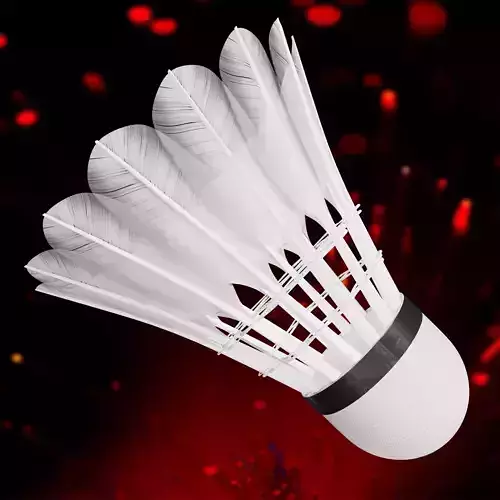 Shuttlecock Badminton 3d Model Low-poly 3D model