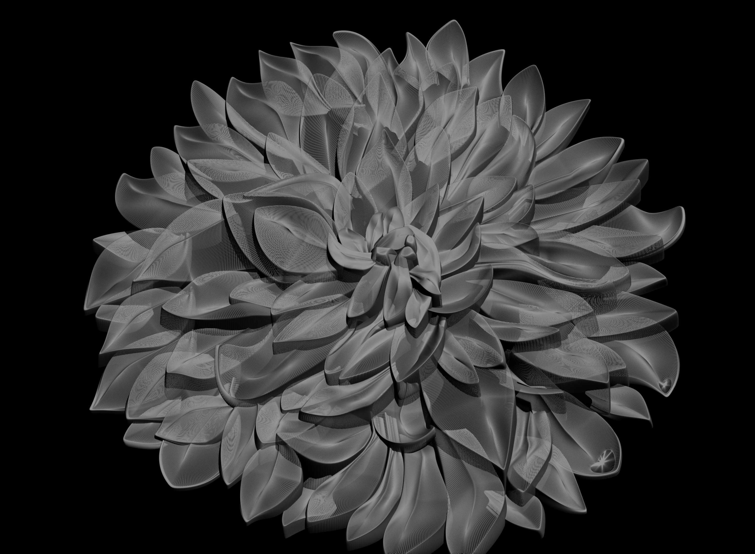 3D stl model of a flower for CNC router 3D print model_1
