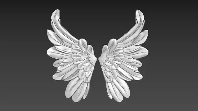 Wings Relief