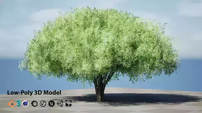 Realistic Hazelnut Tree with Detailed Leaves with free tutorial