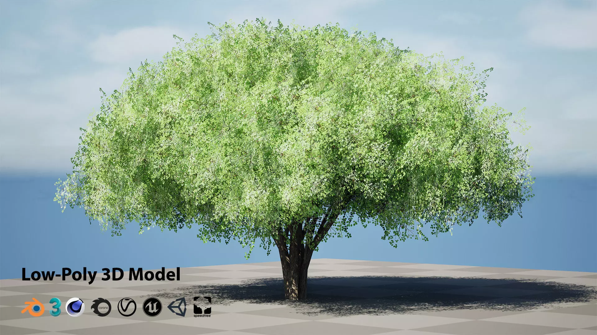 Realistic Hazelnut Tree with Detailed Leaves with free tutorial Low-poly 3D model_0