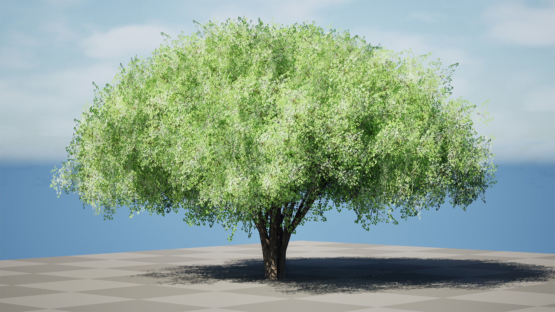 Realistic Hazelnut Tree with Detailed Leaves with free tutorial Low-poly 3D model_6