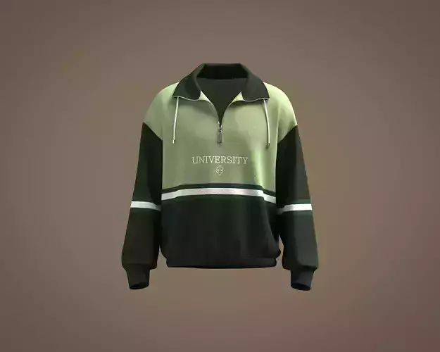 Mens Cut and Sew quarter zip sweatshirt  3D model