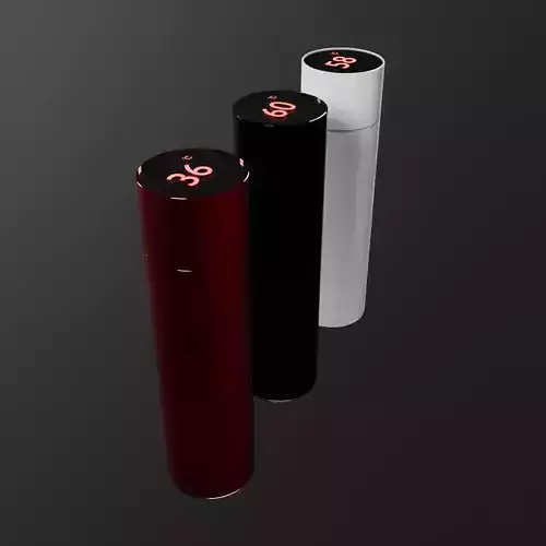 Vacuum flask