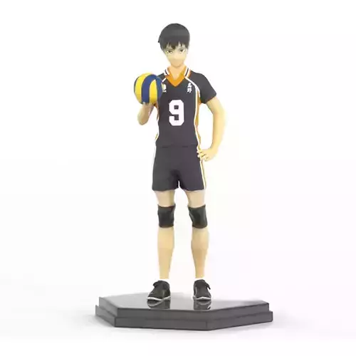 Orange Rouge Haikyu 3D print model