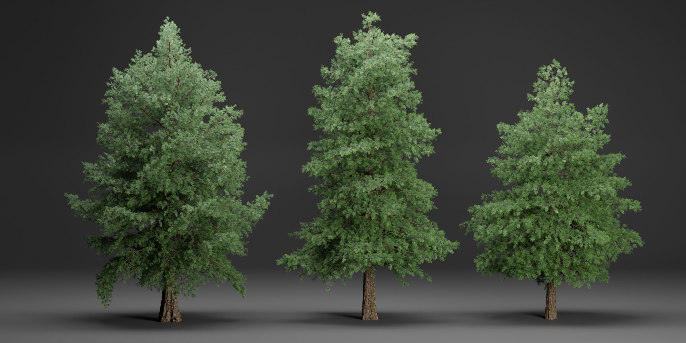 Conifer trees vol 78-Blender 3D model_5