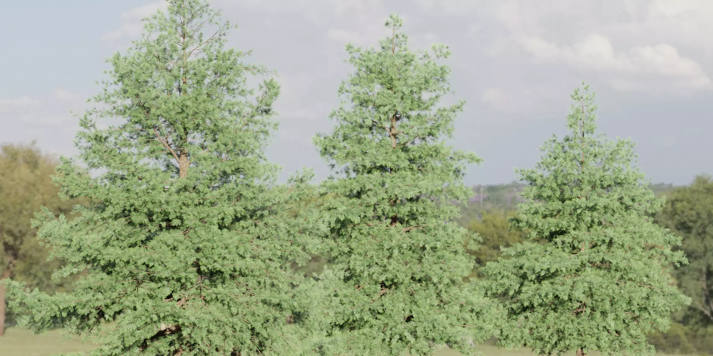 Conifer trees vol 78-Blender 3D model_0