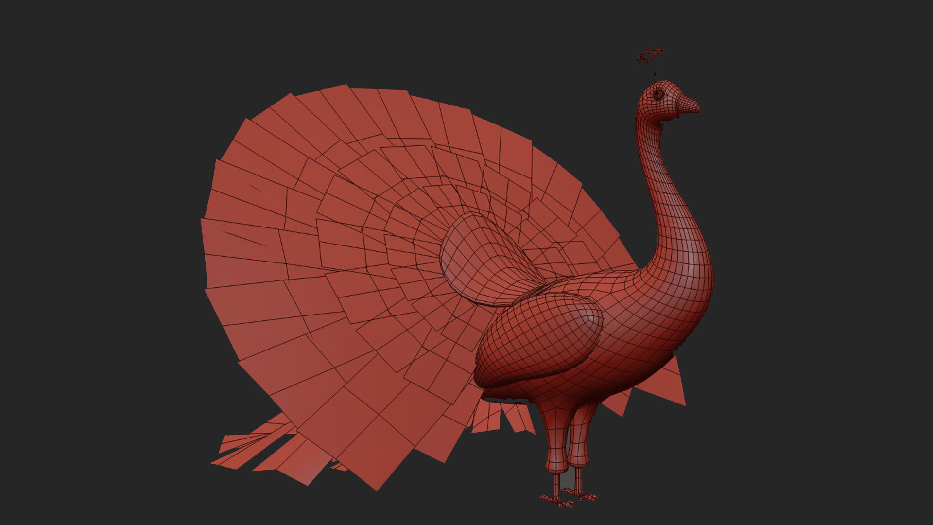 Peafowl Peacock Low-poly 3D model_12