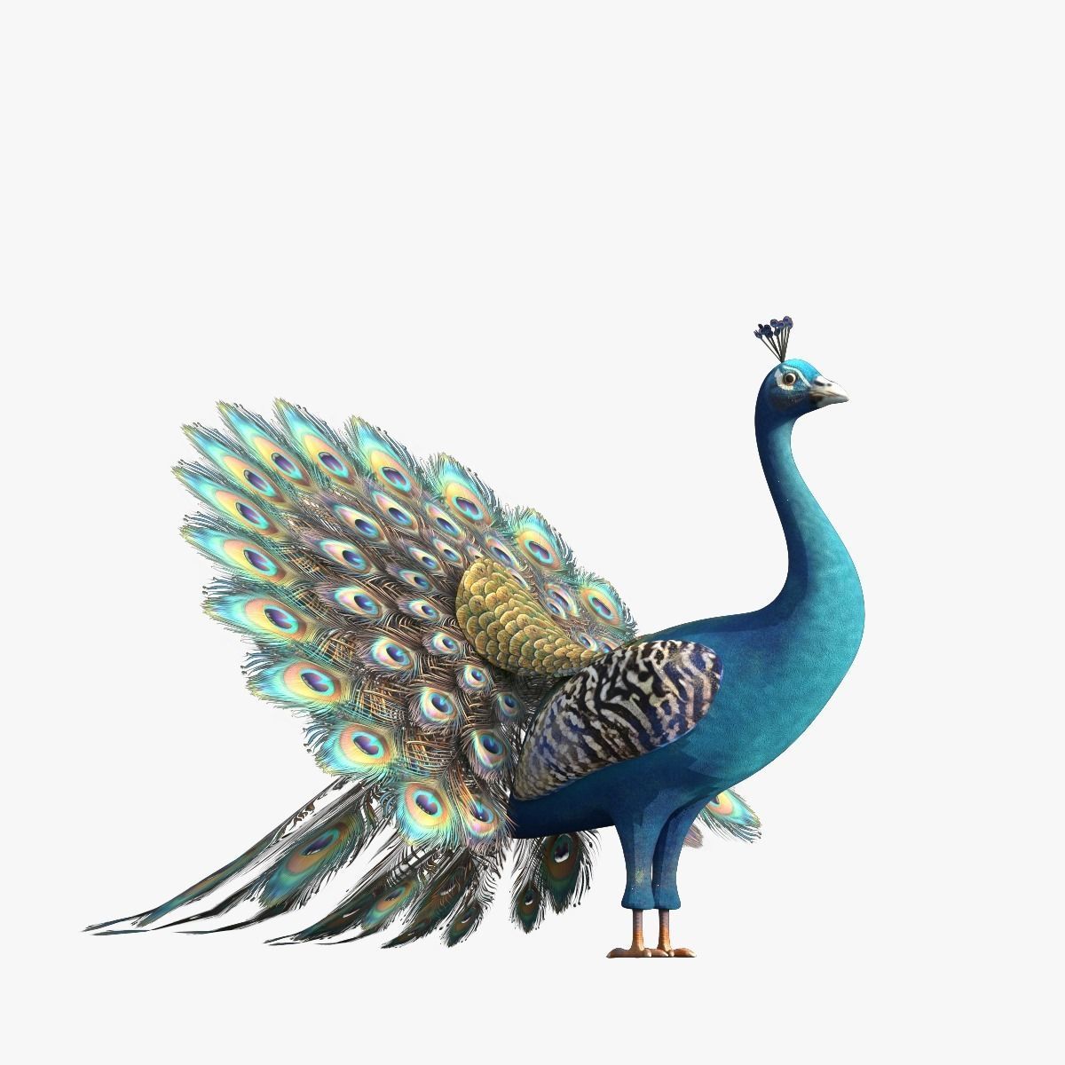 Peafowl Peacock Low-poly 3D model_2