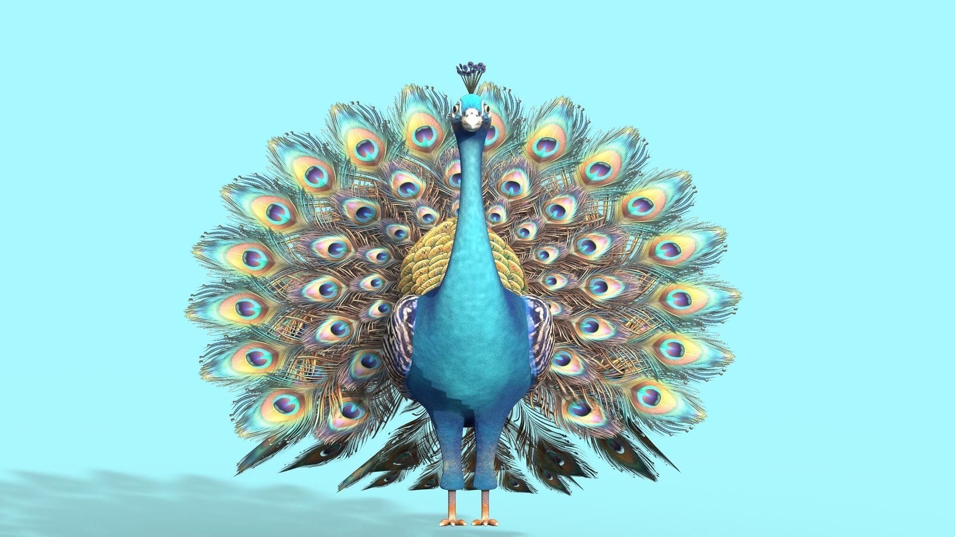 Peafowl Peacock Low-poly 3D model_7