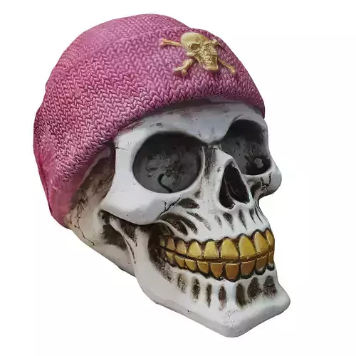 skull 3D model