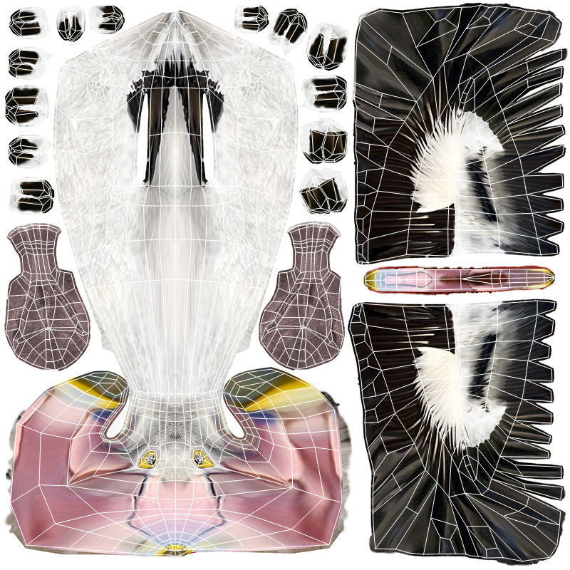 Pelican  Flying 3D model_20