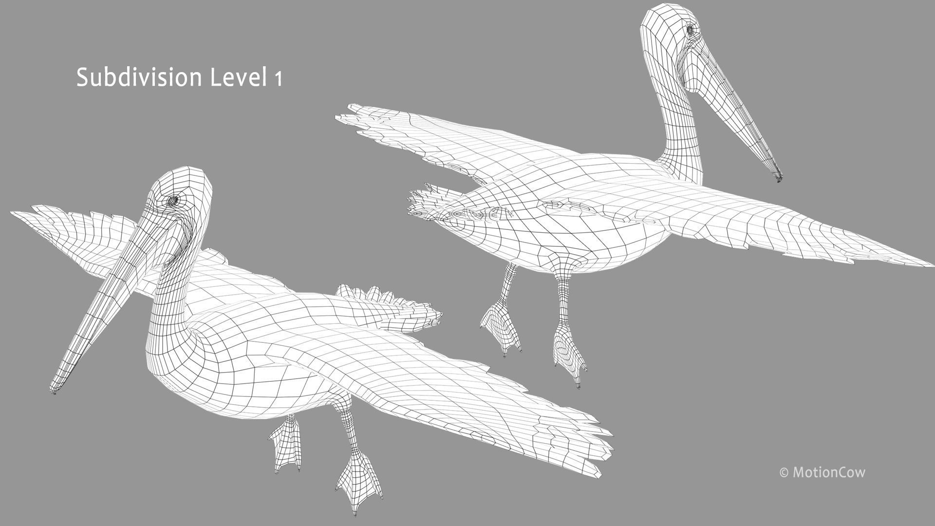 Pelican  Flying 3D model_17