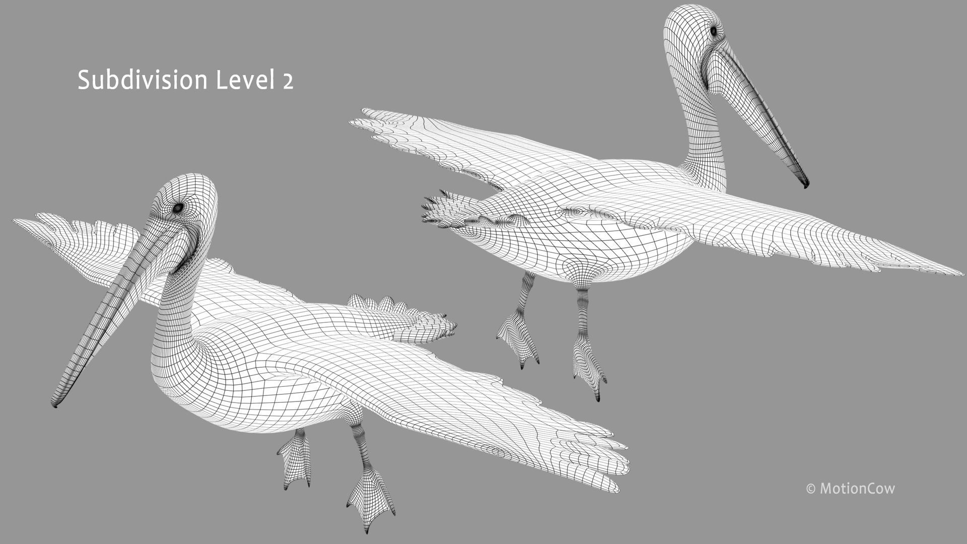Pelican  Flying 3D model_18