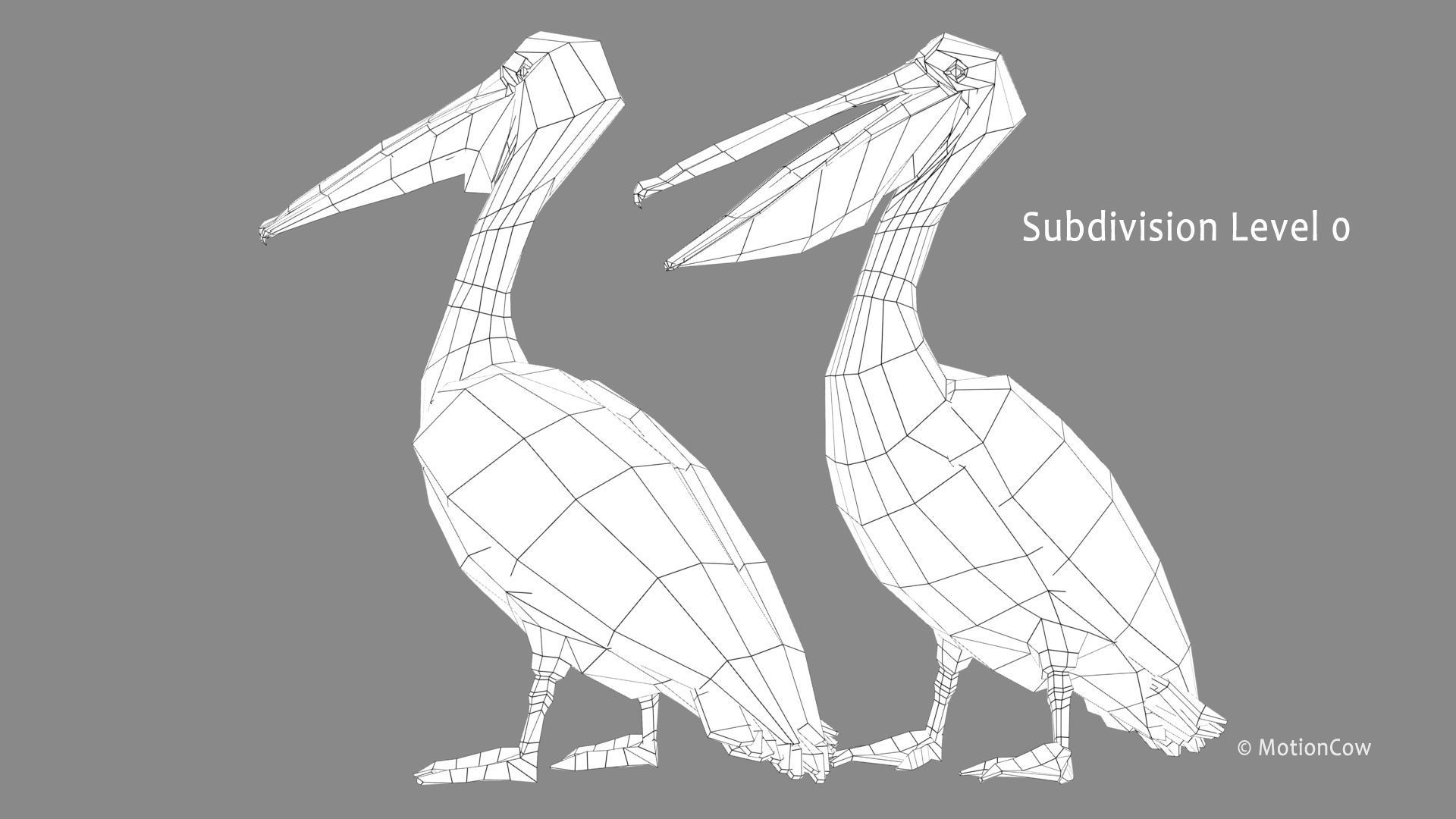 Pelican - Folded Wings 3D model_12