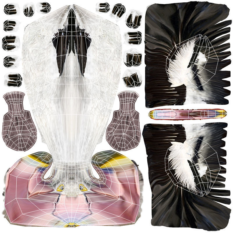 Pelican - Folded Wings 3D model_16