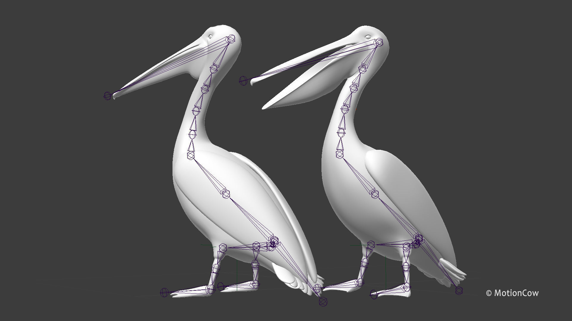Pelican - Folded Wings 3D model_15