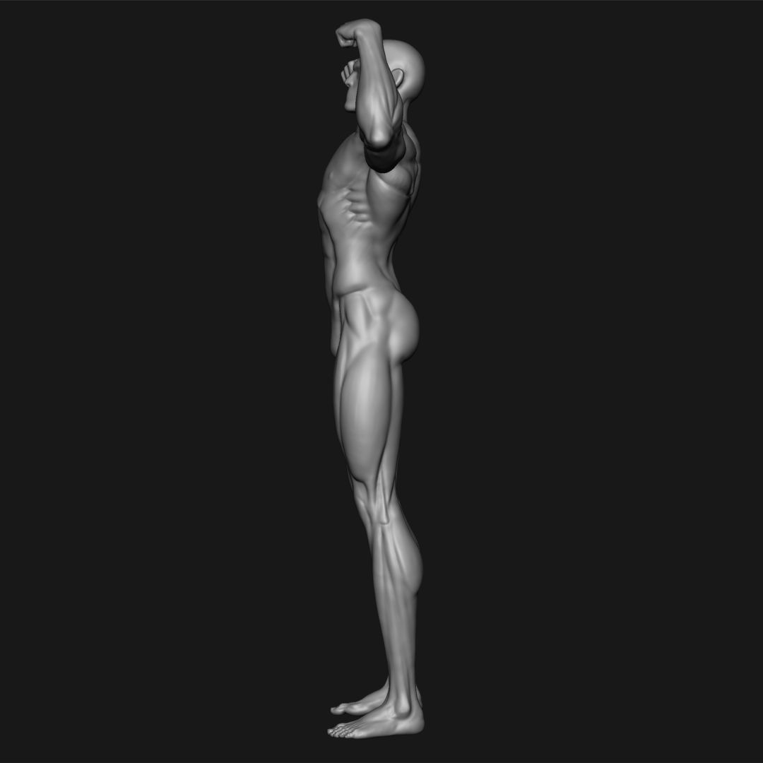 MALE BODYBUILDER POSE 3D print model_2