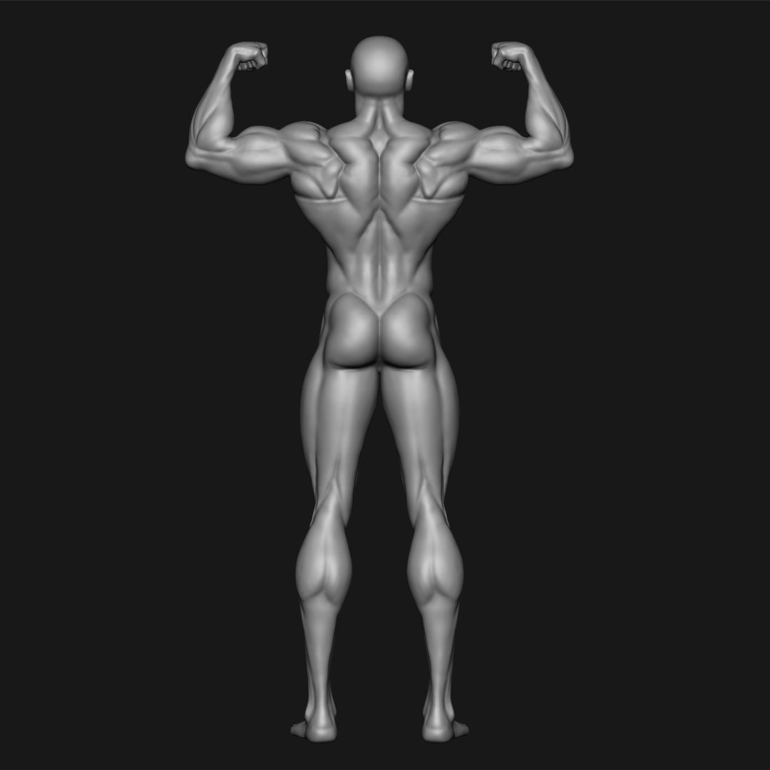 MALE BODYBUILDER POSE 3D print model_4