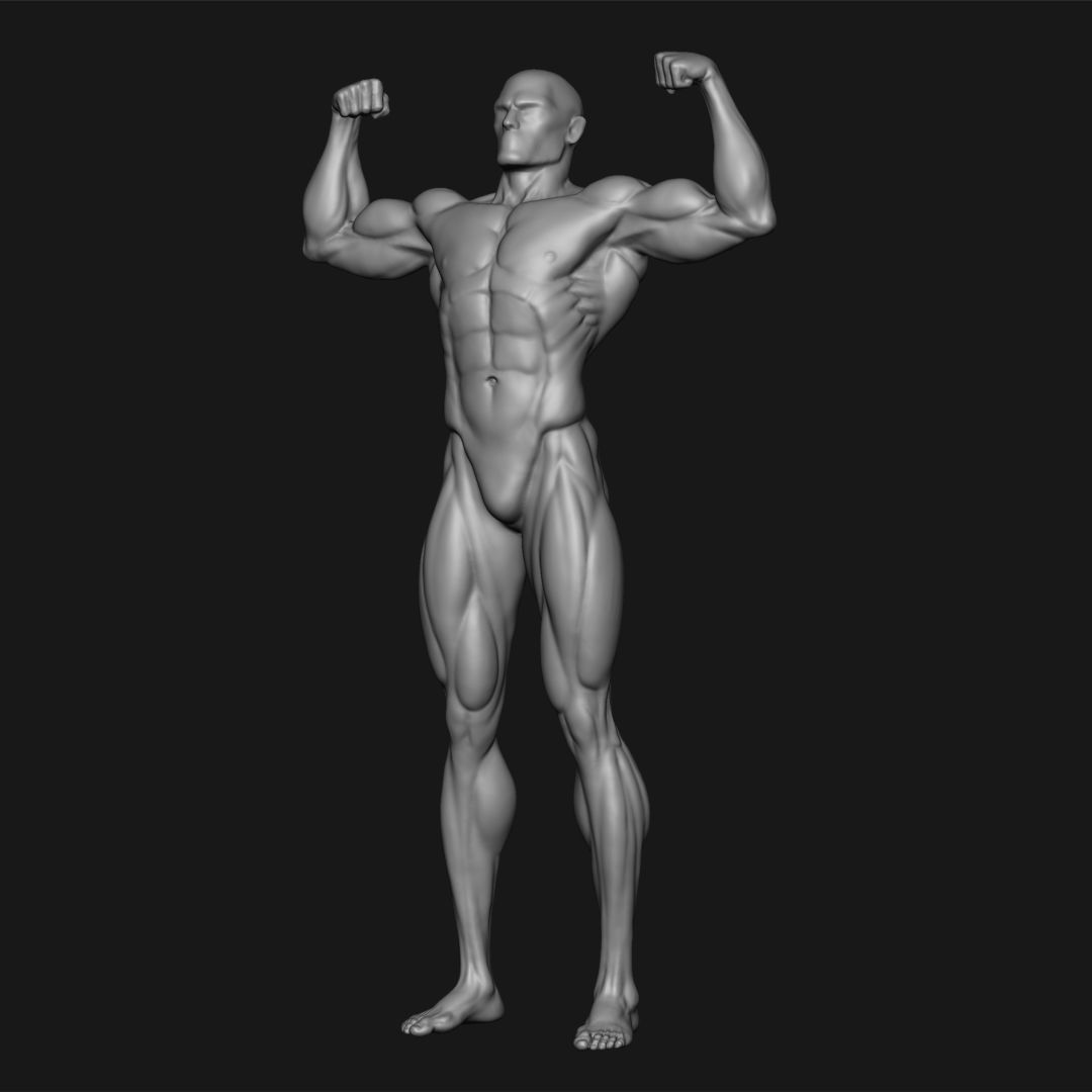 MALE BODYBUILDER POSE 3D print model_1