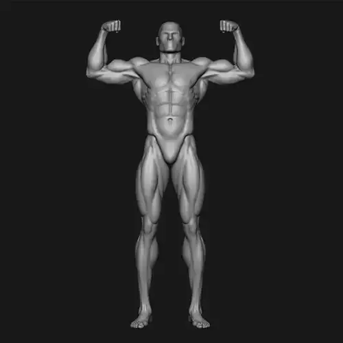 MALE BODYBUILDER POSE
