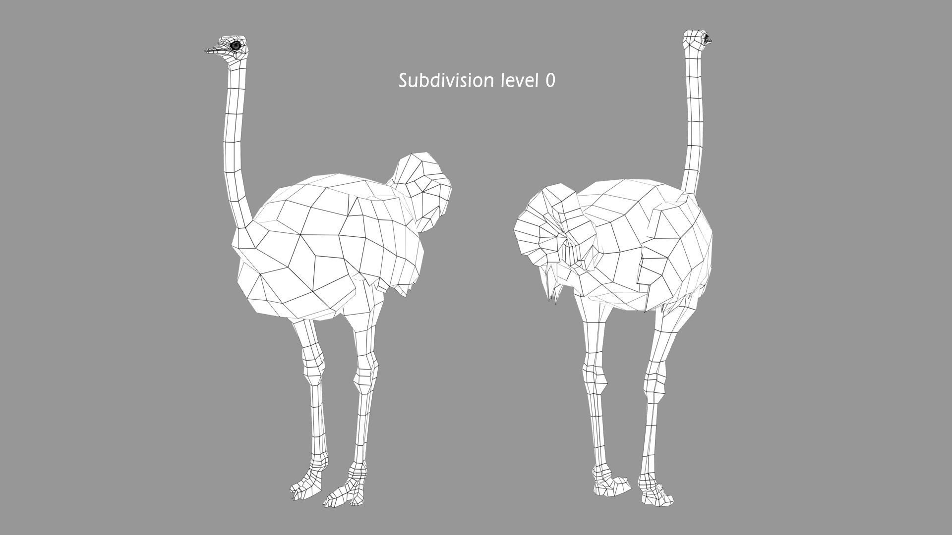 Ostrich 3D model_10
