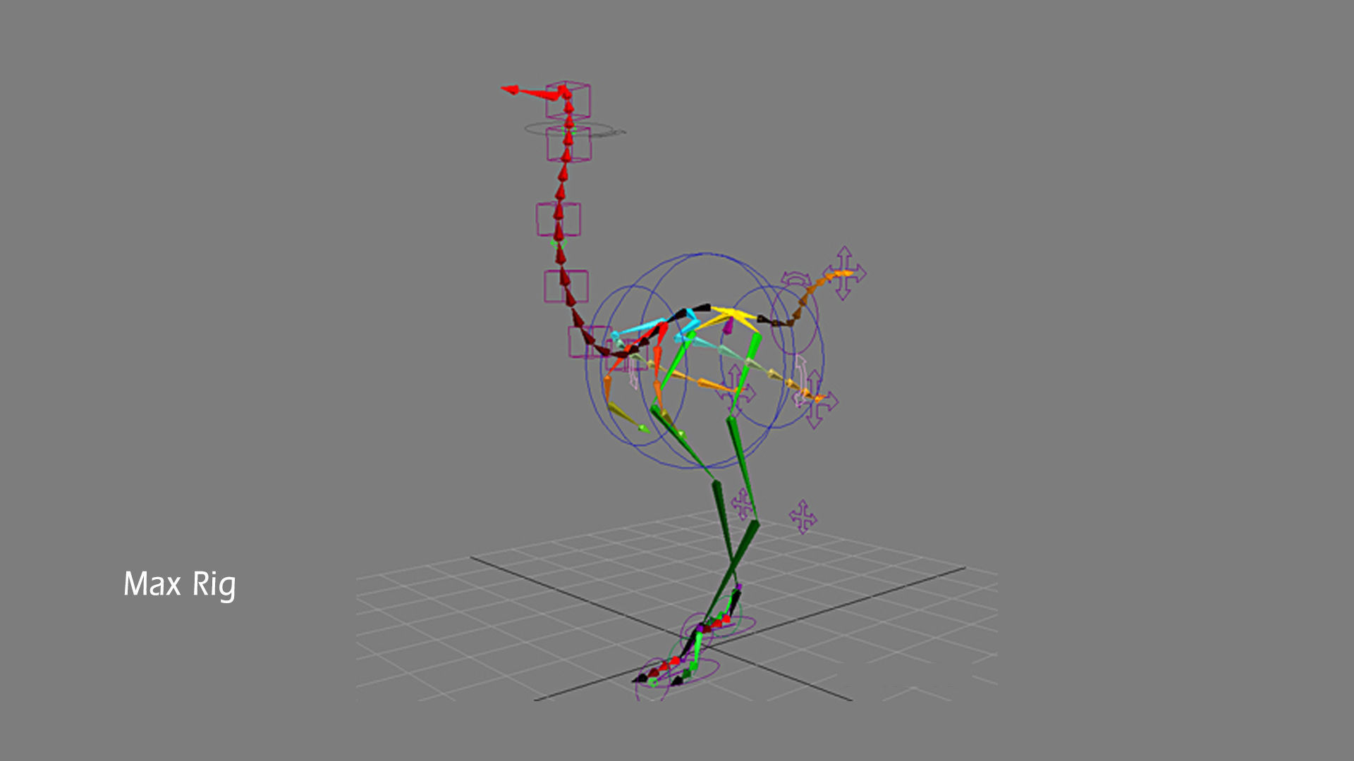 Ostrich 3D model_13