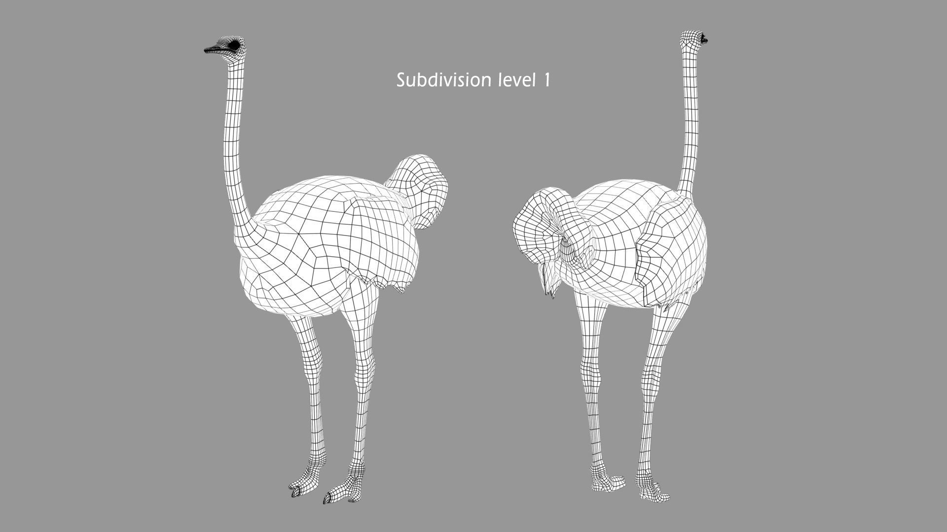 Ostrich 3D model_11